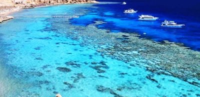 Sharm Marina shore excursions