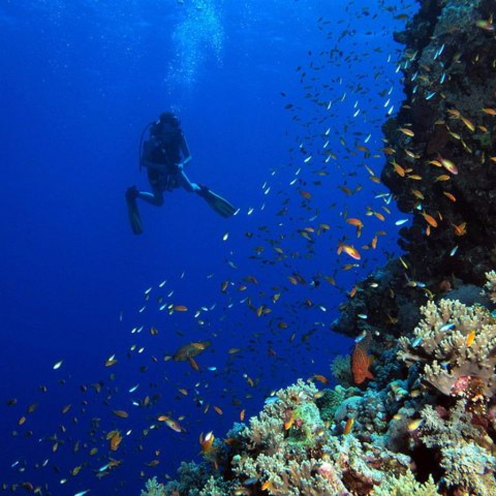 Egypt red sea in winter