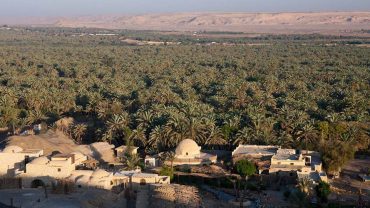 Discovering the Beauty and Rich History of Egypt’s Bahariya Oasis
